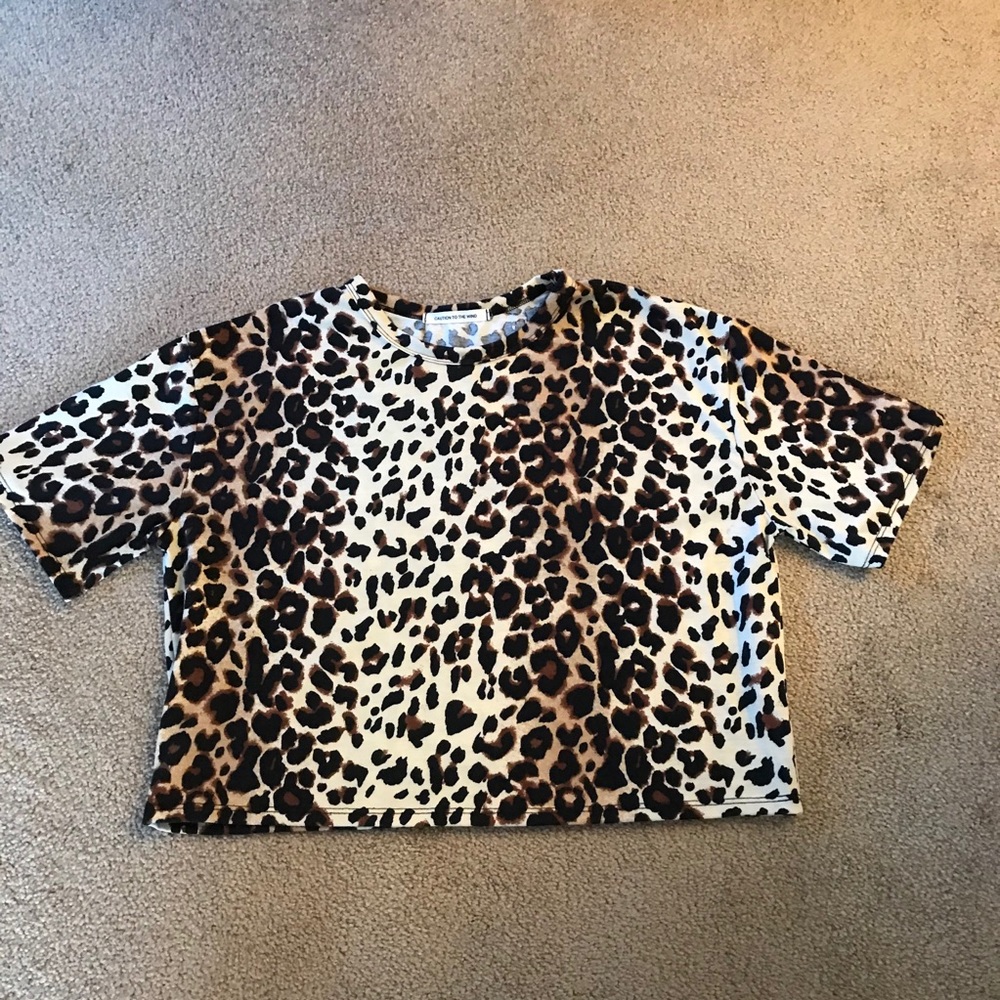 Cheetah Print Crop Top